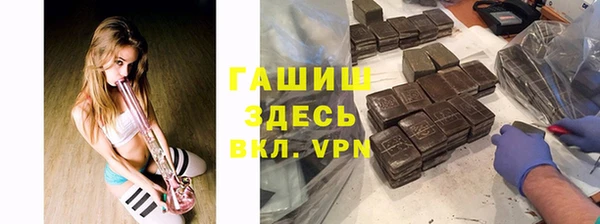 мет Алексин