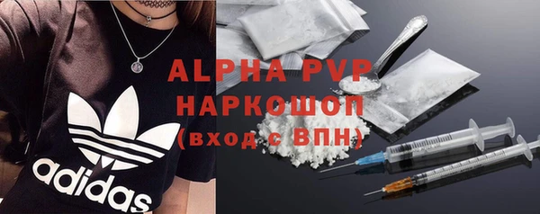 мет Алексин