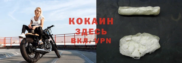 мет Алексин
