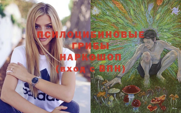 a pvp Алексеевка