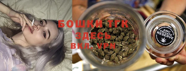 мет Алексин