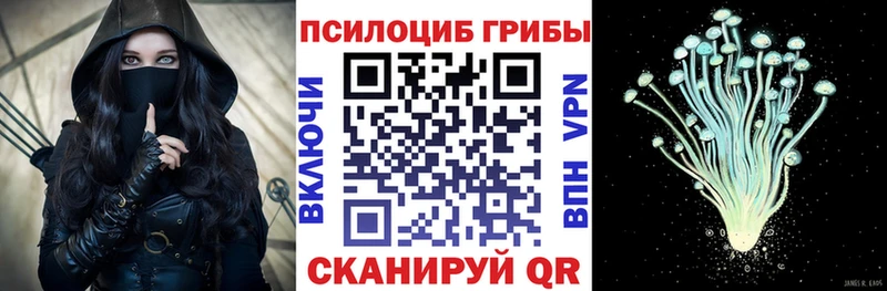 гидра ссылки цена наркотик Алексеевка Псилоцибиновые грибы Psilocybe