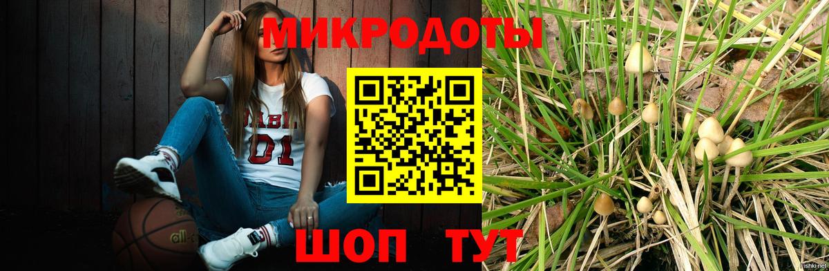 Алексеевка  Галлюциногенные грибы прущие грибы  Псилоцибиновые грибы прущие грибы  Вход с VPN 